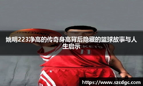 姚明223净高的传奇身高背后隐藏的篮球故事与人生启示