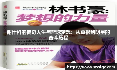 谢什科的传奇人生与篮球梦想：从草根到明星的奋斗历程