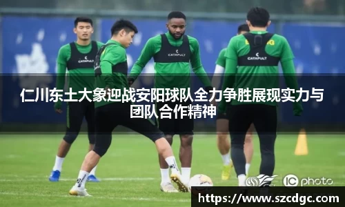 仁川东土大象迎战安阳球队全力争胜展现实力与团队合作精神