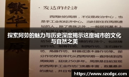 探索阿劳的魅力与历史深度揭示这座城市的文化与自然之美